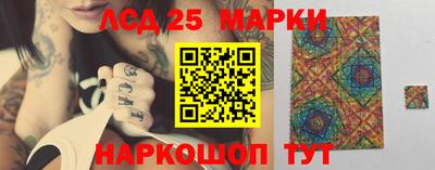 стаф Можга