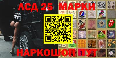 стаф Можга
