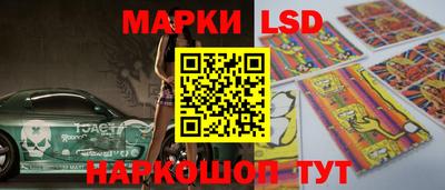 стаф Можга