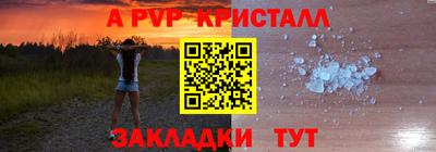 стаф Можга