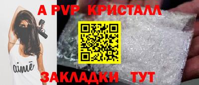 стаф Можга