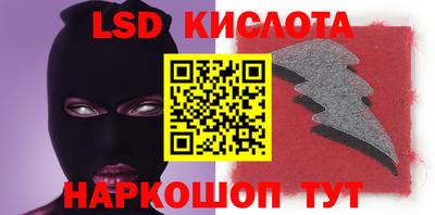 стаф Можга