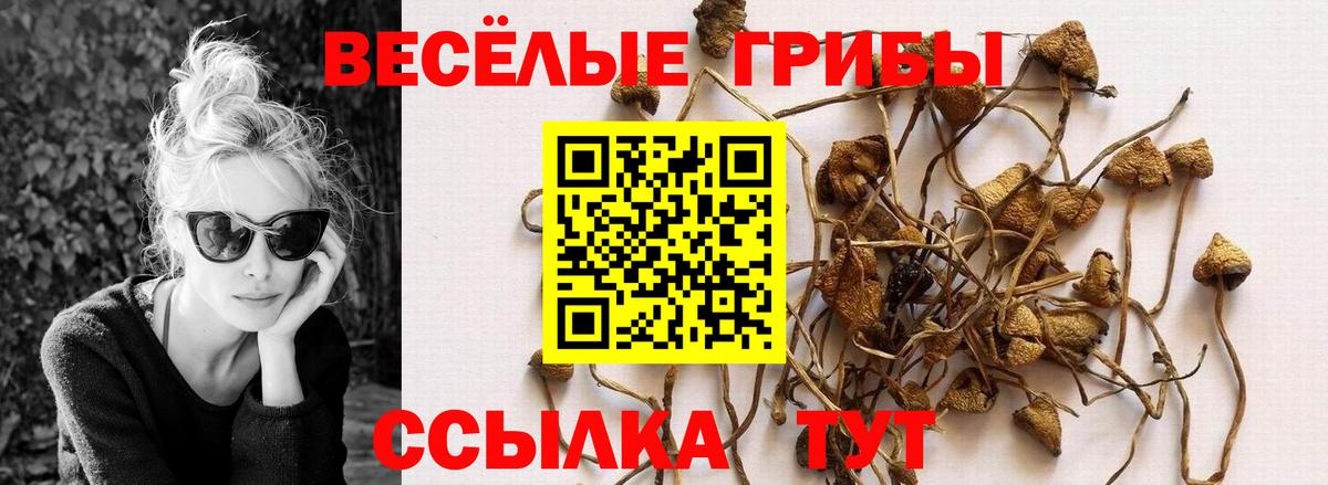 Псилоцибиновые грибы MAGIC MUSHROOMS Урюпинск