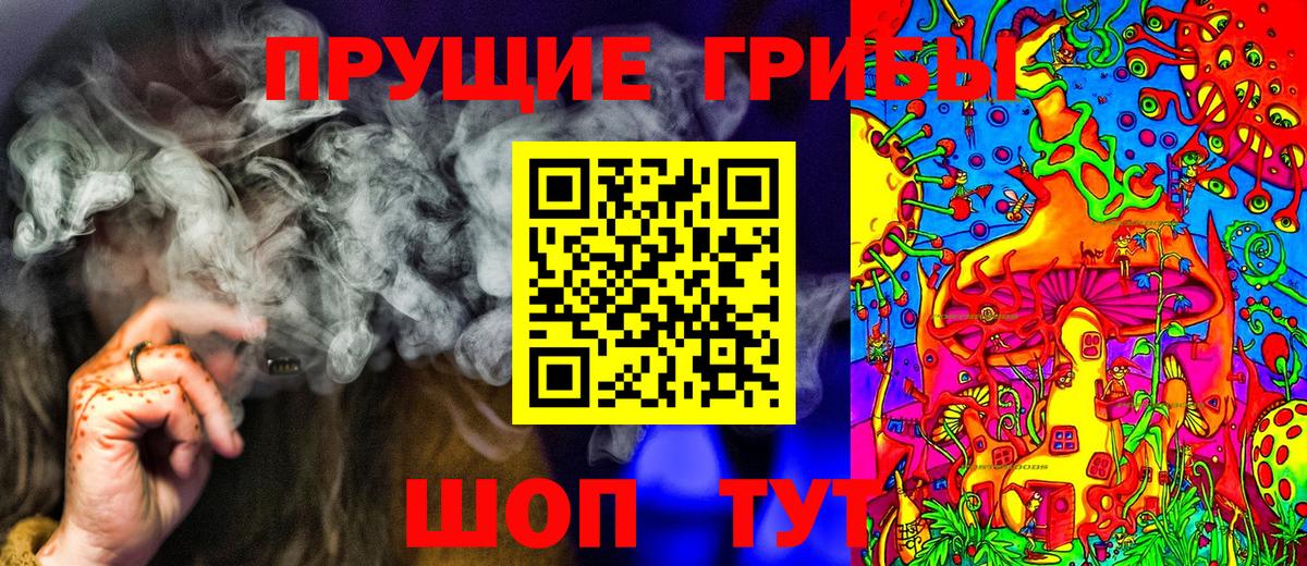 Урюпинск  Галлюциногенные грибы Psilocybine cubensis  Галлюциногенные грибы прущие грибы  Вход с VPN 